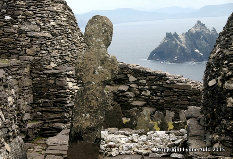 24-Skellig graveyard.jpg