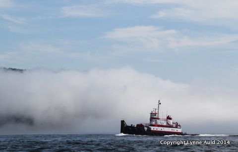 01-Boat in fog.jpg