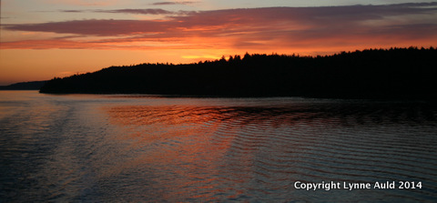 11-Orcas sunset pan.jpg