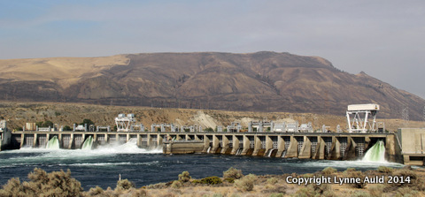 14-Wenatchee dam pan.jpg