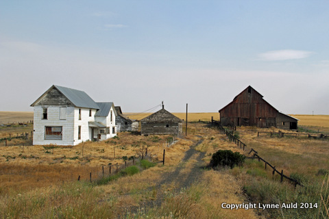 15-Abandoned farm.jpg