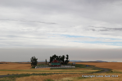 16-Palouse farm.jpg