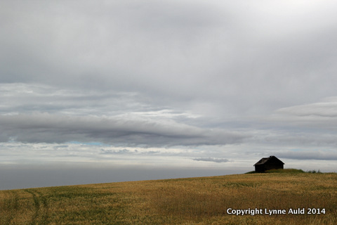 22-Old barn.jpg