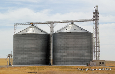 24-Water towers.jpg