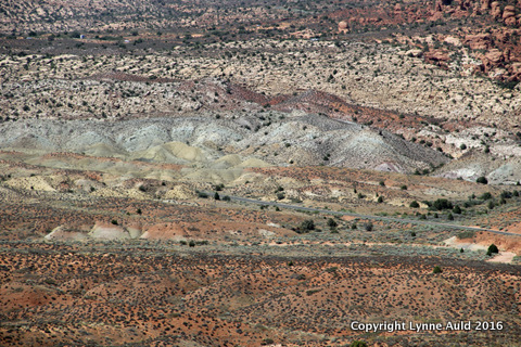 07-Arches petrified dunes.jpg