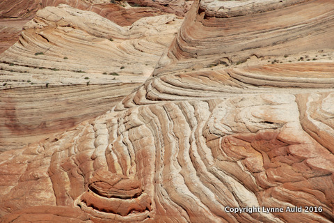 09-Vermillion Cliffs.jpg