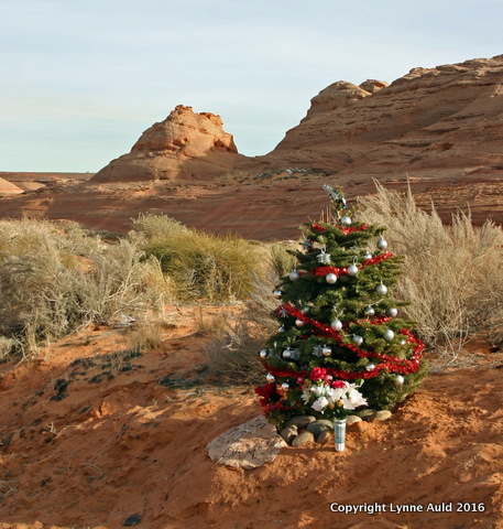 20-Xmas on the Rez sq.jpg