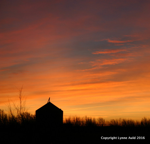 22-Texas sunrise sq.jpg