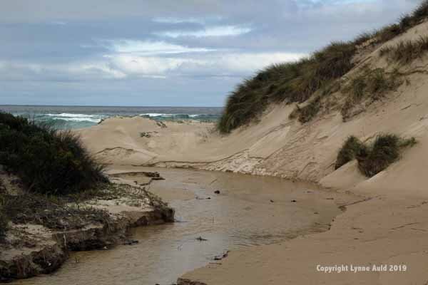 Dunes at Conspicuous Cliff.jpg