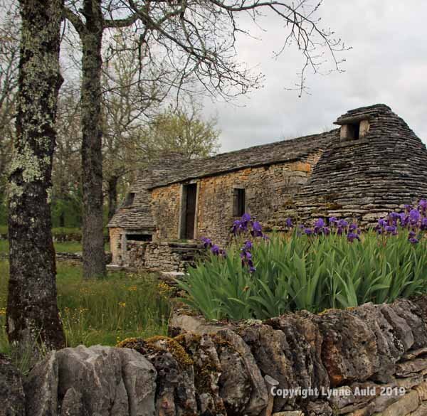 Duck house w irises sq.jpg