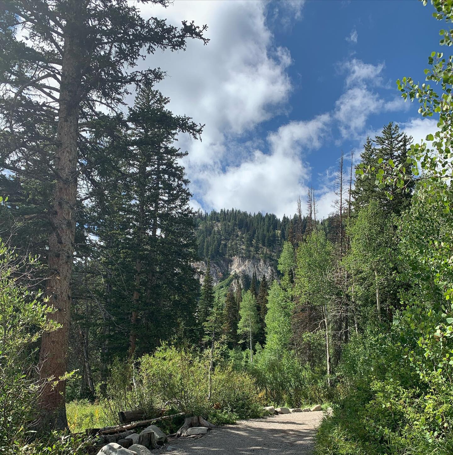 This Sunday, June 12th we will be at Pioneer Hall for our 11 AM Service &bull;
Our Night Service will be held up at Big Cottonwood Canyon, &ldquo;Dogwood&rdquo; Picnic Area. Follow directions to this Address then go up about 1-2 miles and Dogwood is 