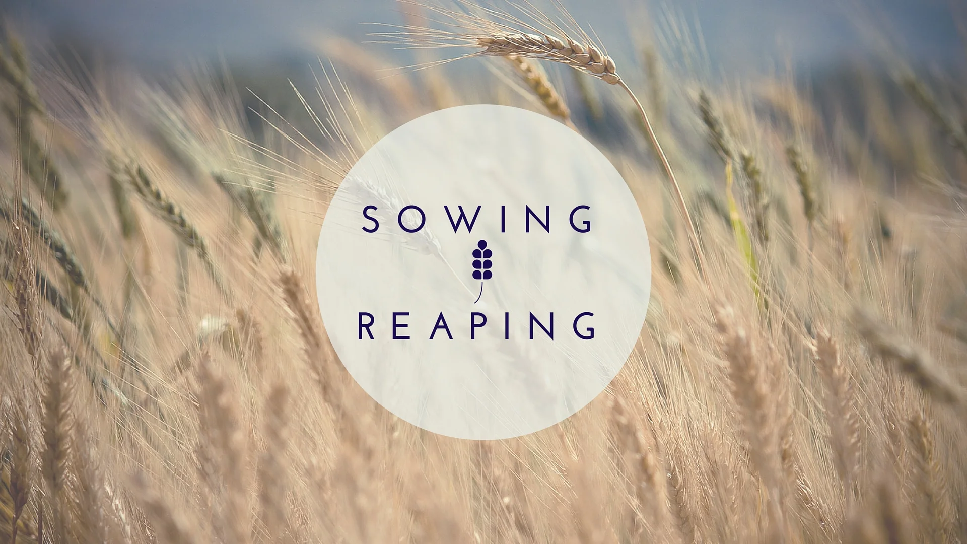 Episode 10: Sowing and Reaping