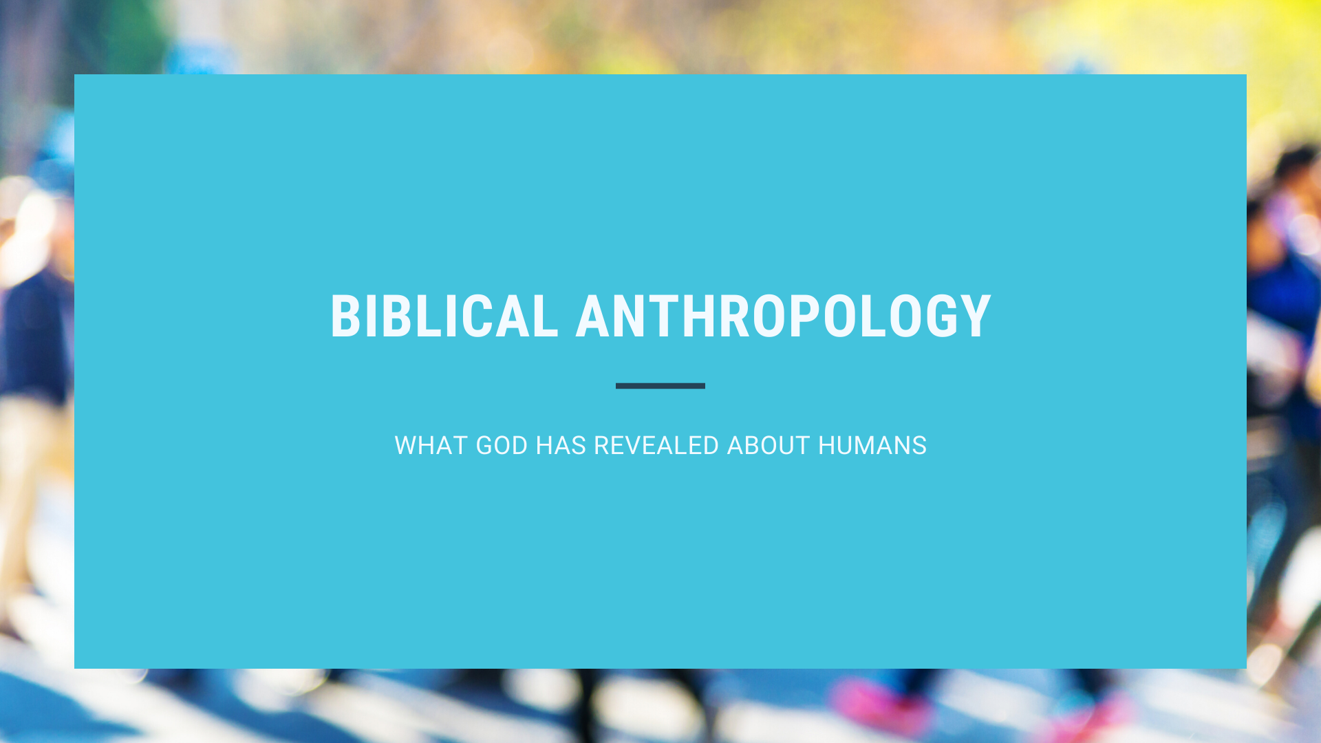Biblical Anthropology