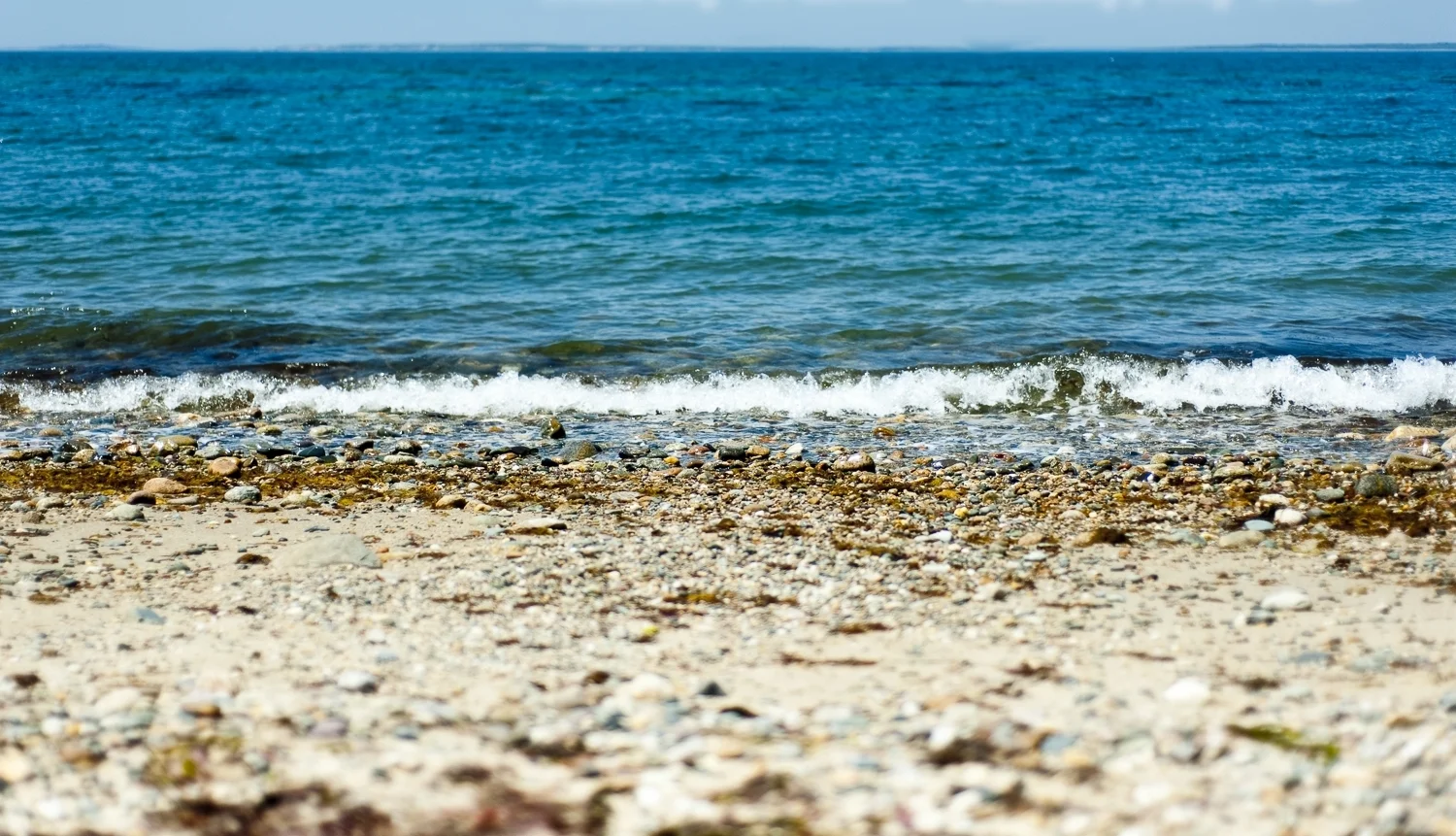The Beach Plum Inn