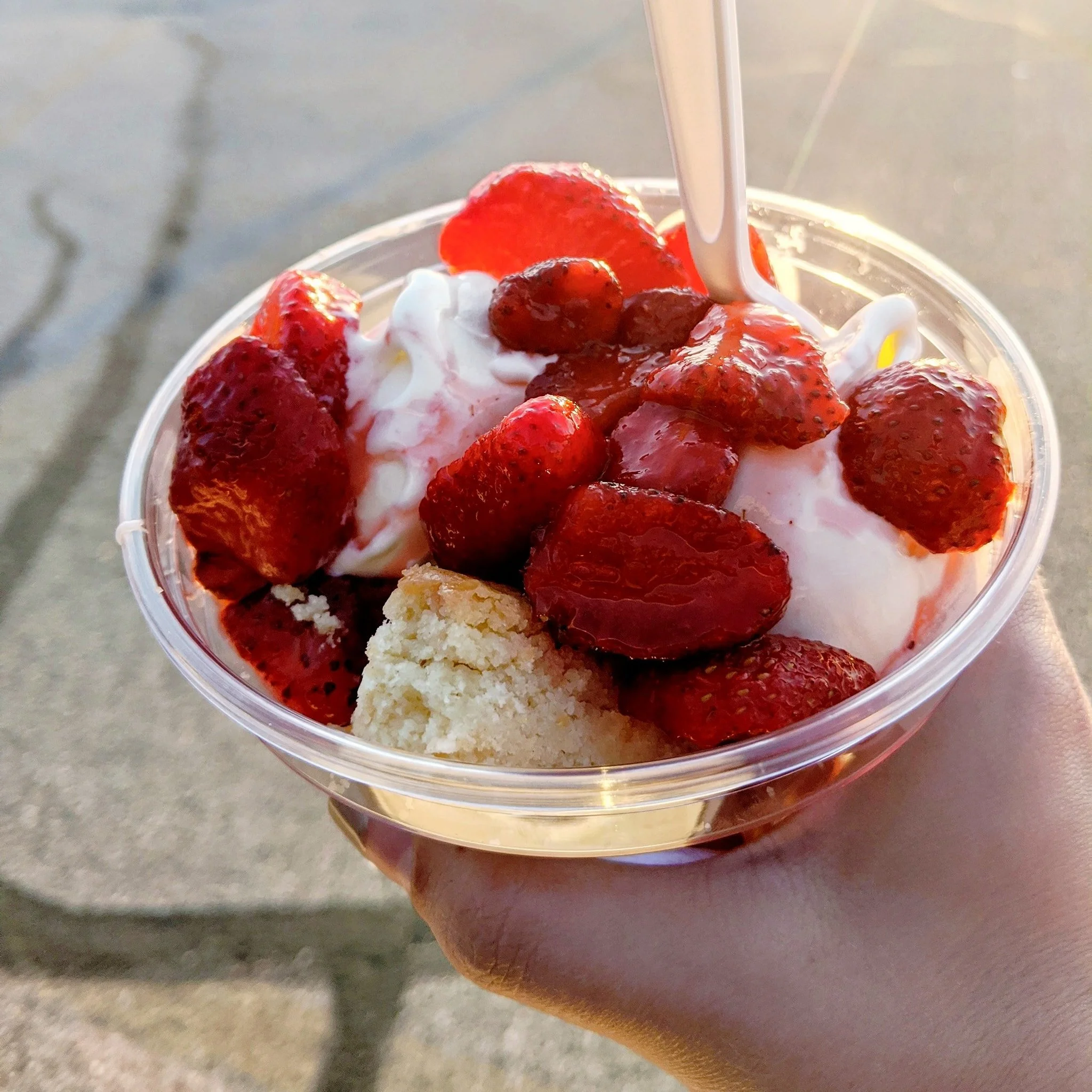 Seasonal Treats Andy's Frozen Custard