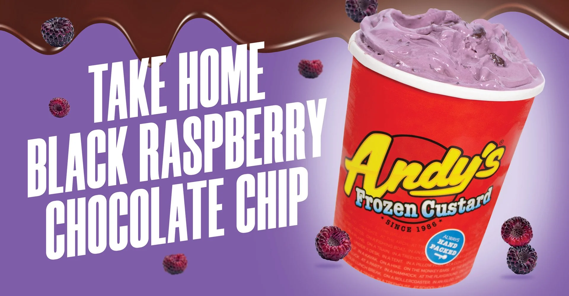 take home black raspberry chocolate chip pint