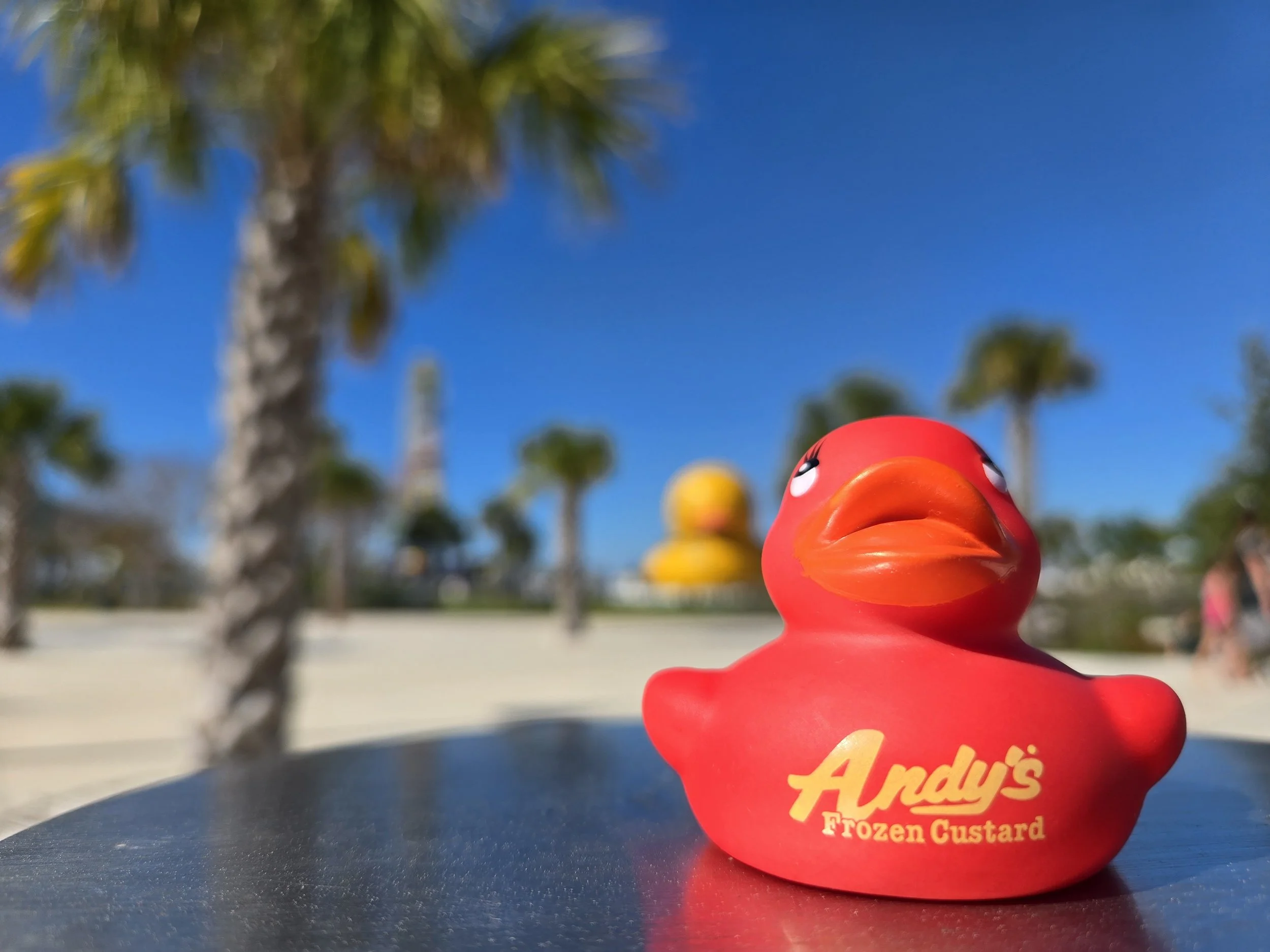 andys-red-rubber-duck-pool.jpg