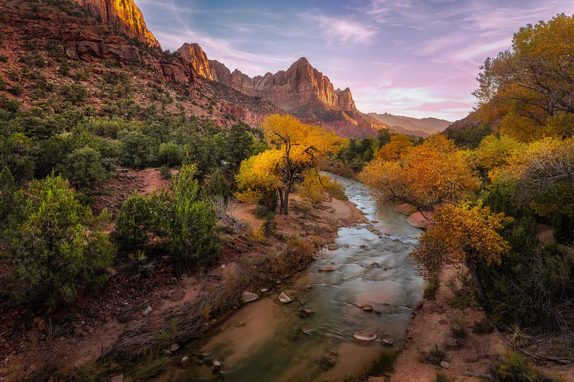 The Watchman