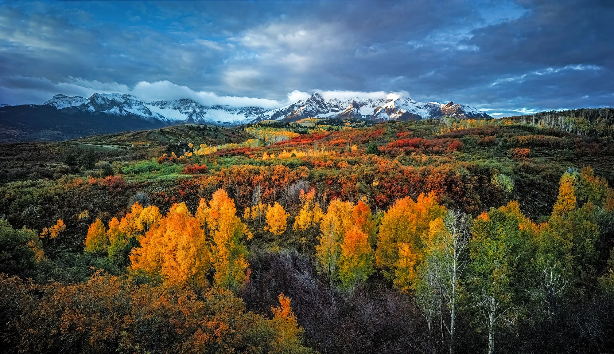 Dallas Divide