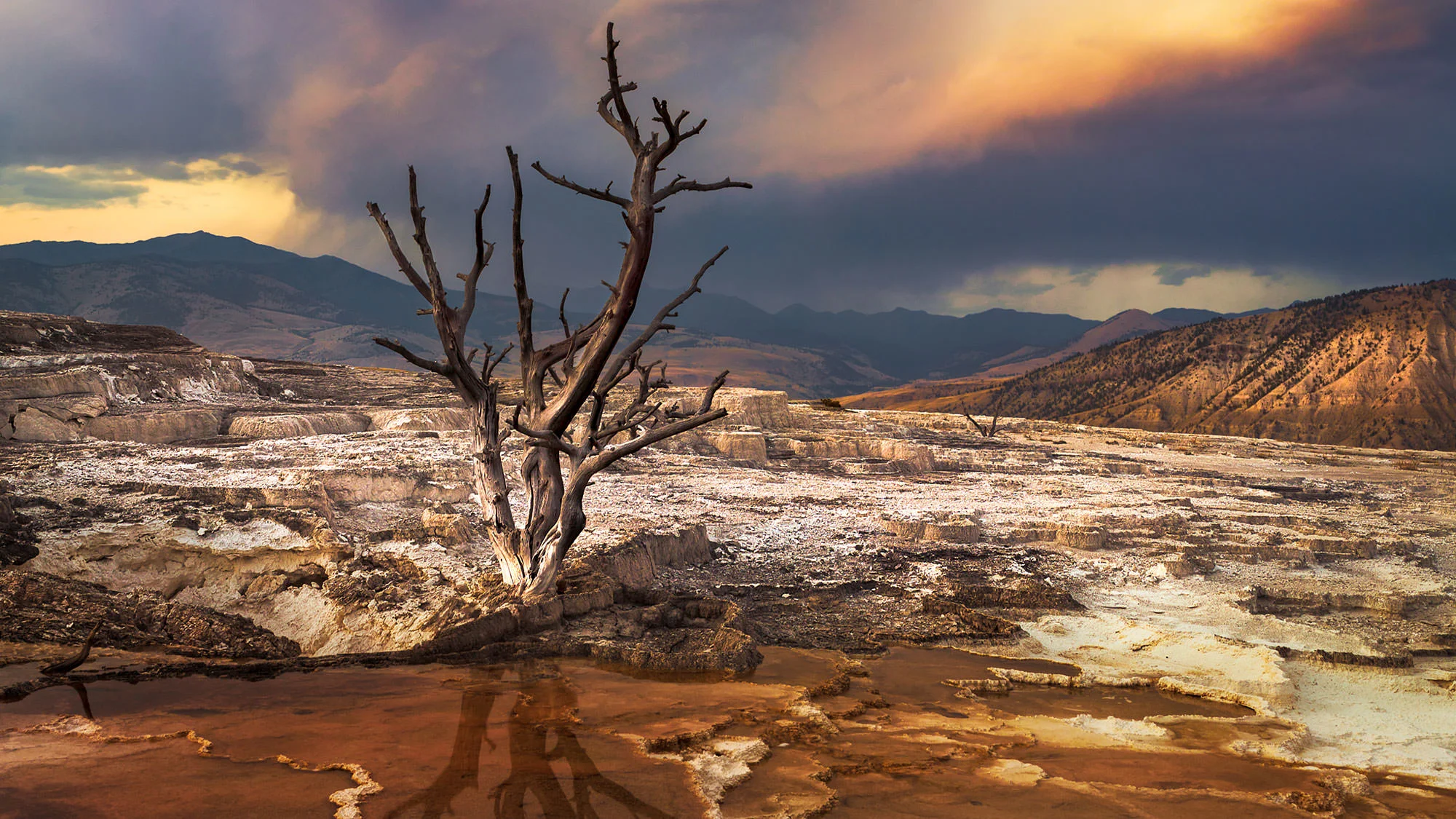 Mammoth Hot Springs