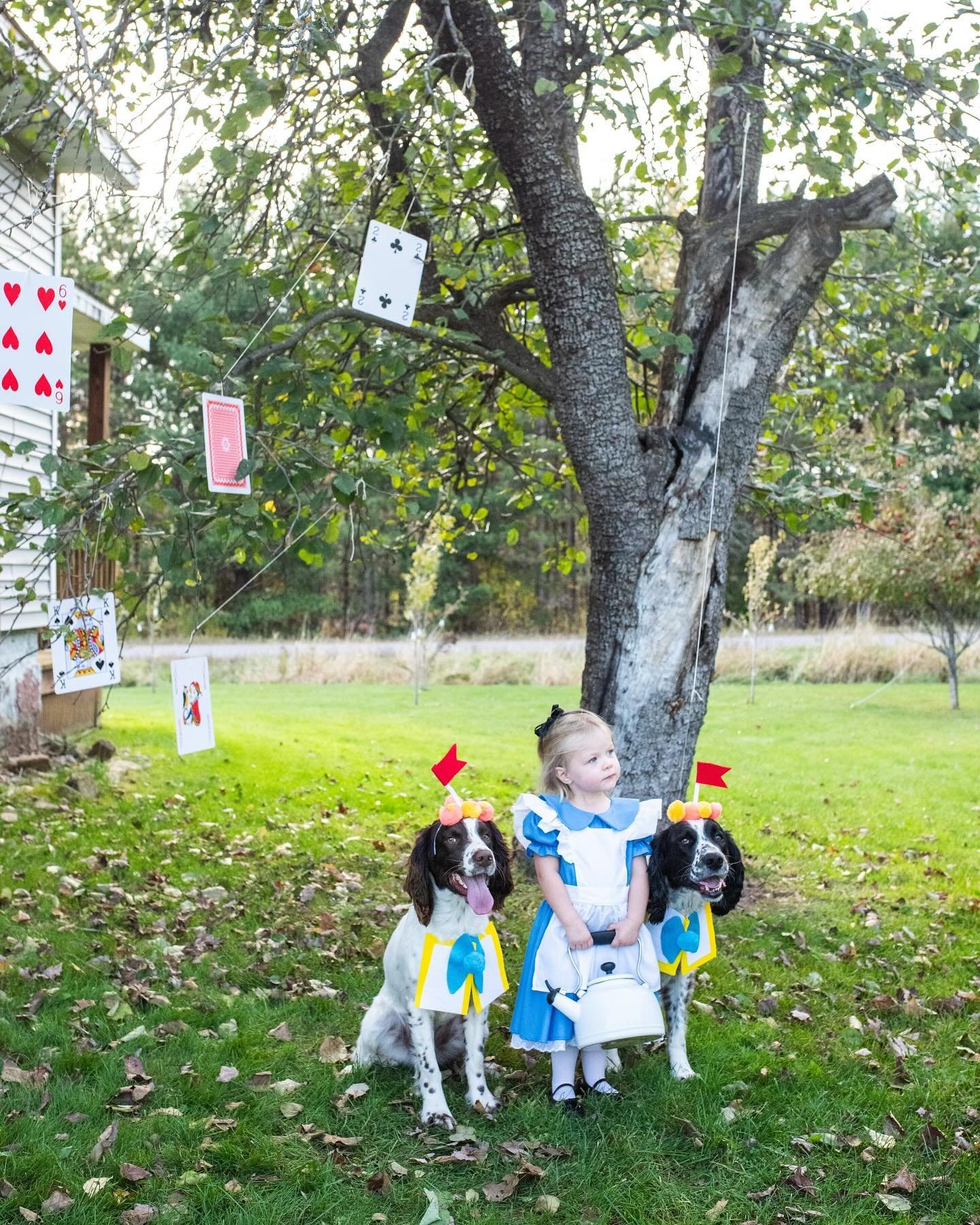 Happy Halloween from Tweedledee, Tweedlefum &amp; Alice in Wonderland!