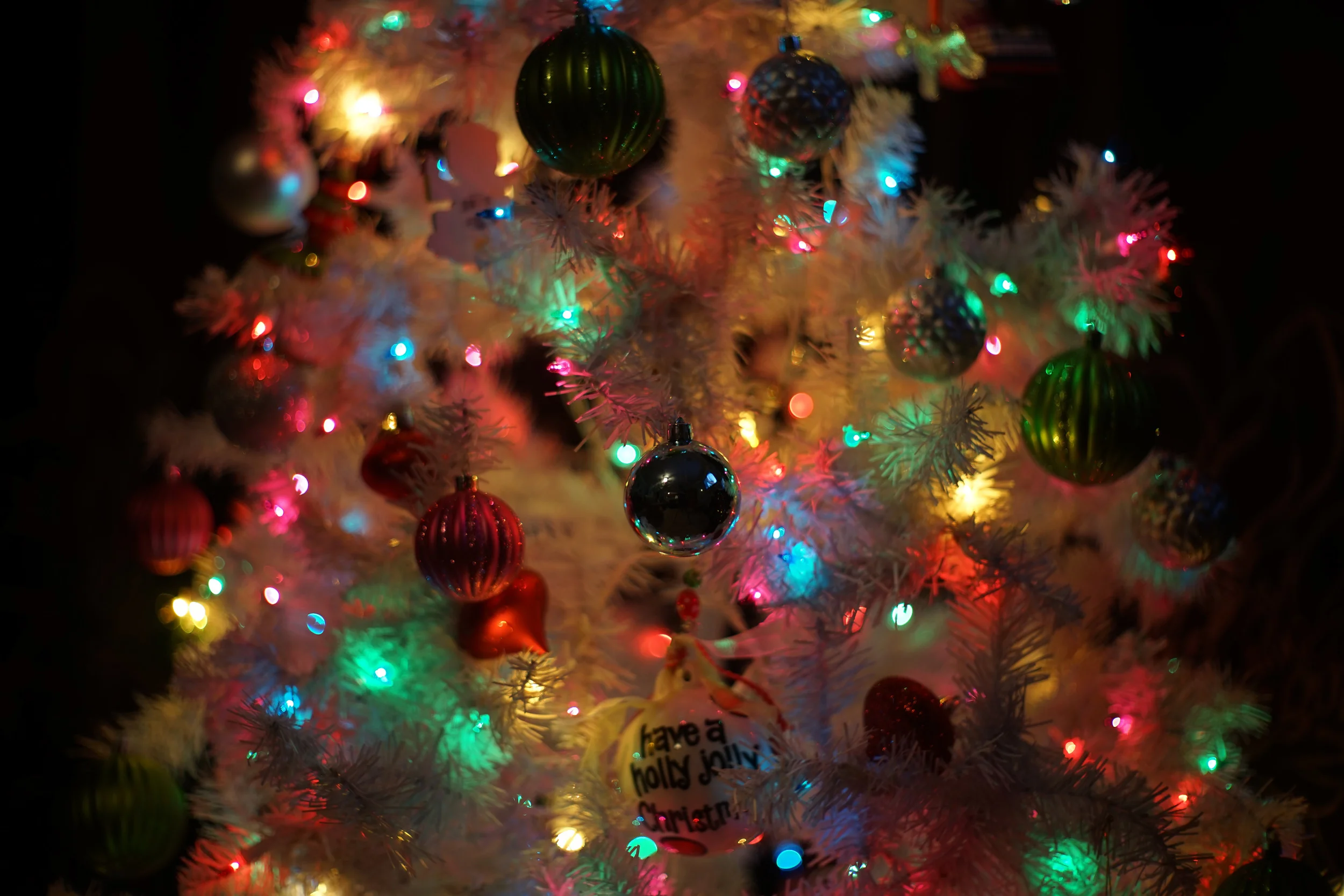 Canon 50mm f1.2---ISO 100, 1/25sec, f1.4