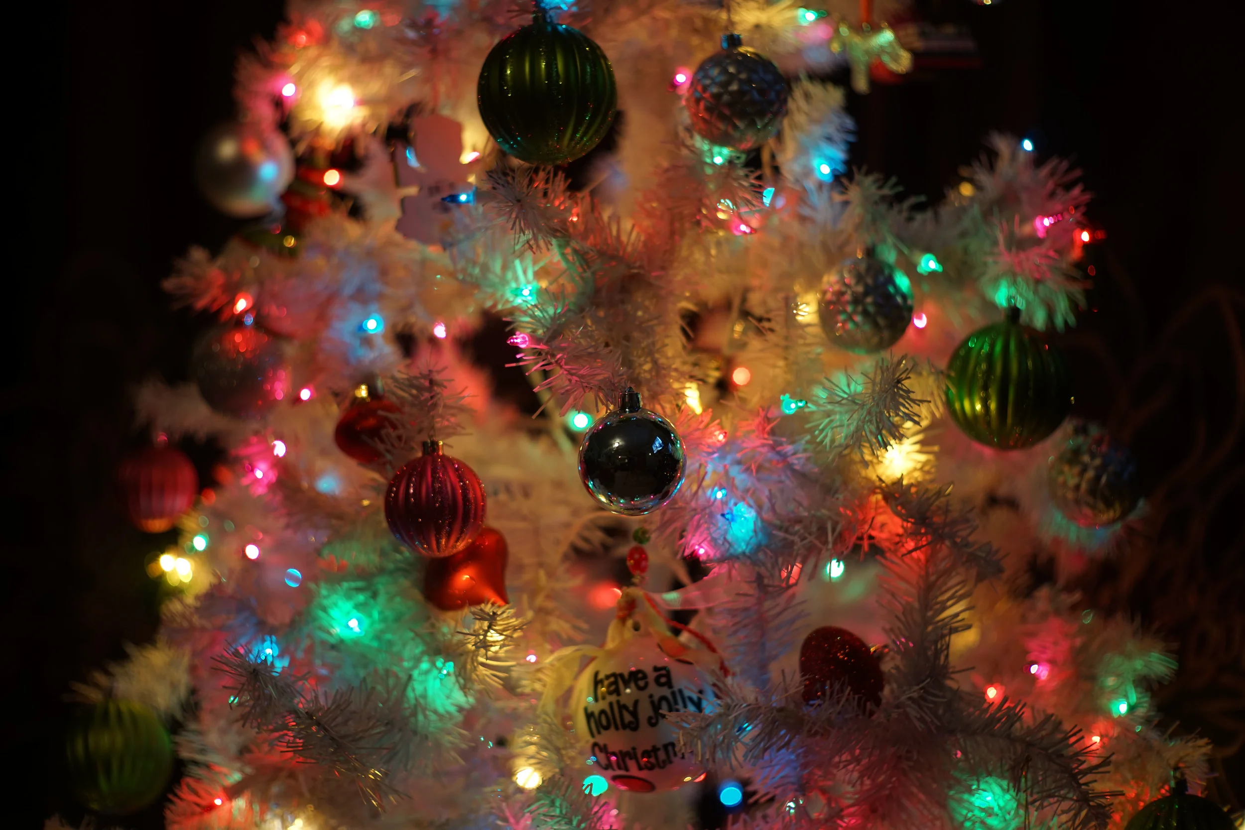 Canon 50mm f1.2---ISO 100, 1/13sec, f2