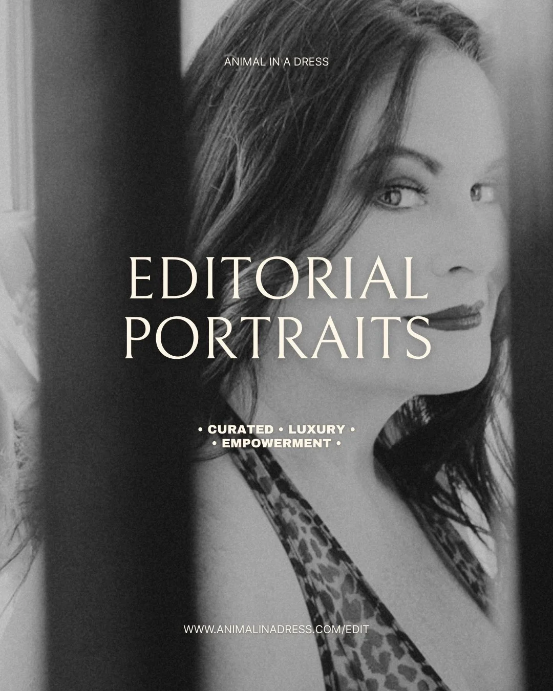 Now Booking Saturday Photoshoots In Indianapolis