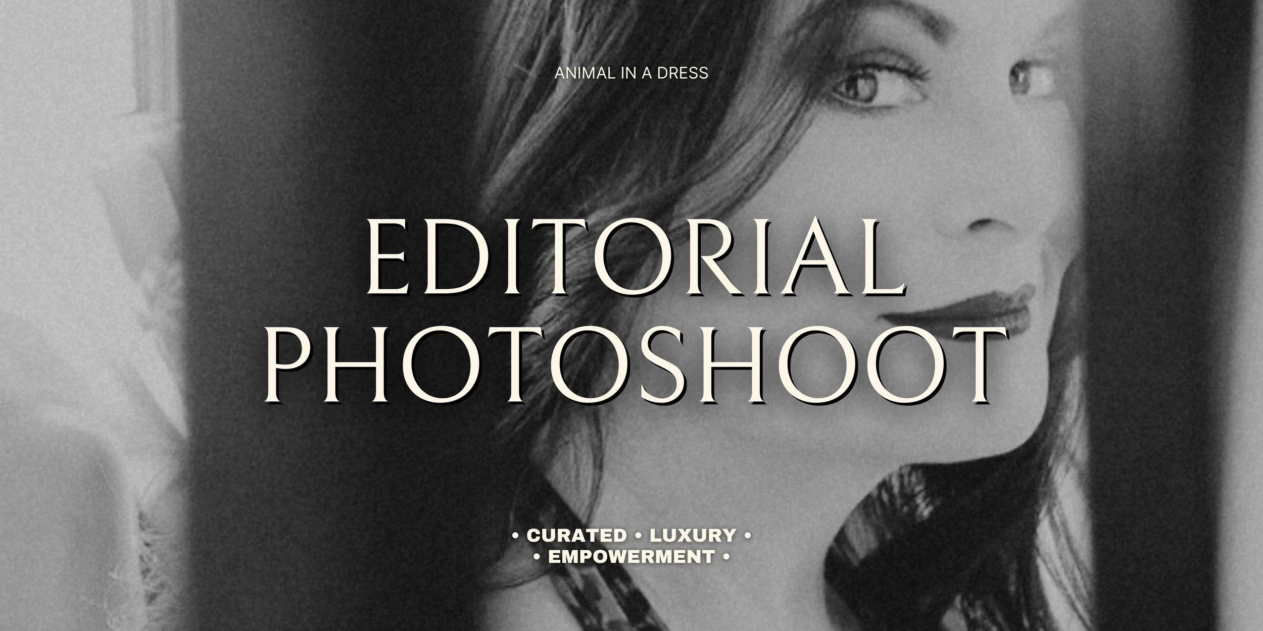 AIAD Editorial Photo Shoot.jpg