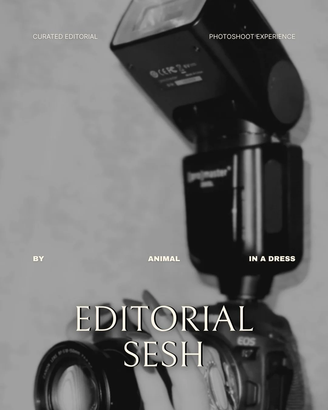 Private studio.

Refined editorial lighting.

Immaculate vibes.

Thirty minutes of curated set time, guided posing and you walk away with your best images plus a fresh perspective on confidence.

Take a bold step into an Animal In A Dress photoshoot 