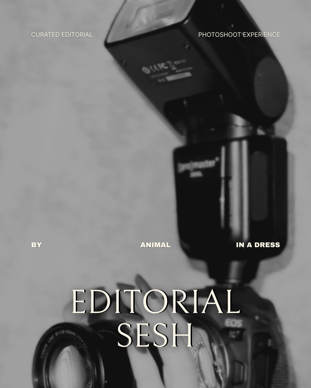 Private studio.

Refined editorial lighting.

Immaculate vibes.

Thirty minutes of curated set time, guided posing and you walk away with your best images plus a fresh perspective on confidence.

Take a bold step into an Animal In A Dress photoshoot 