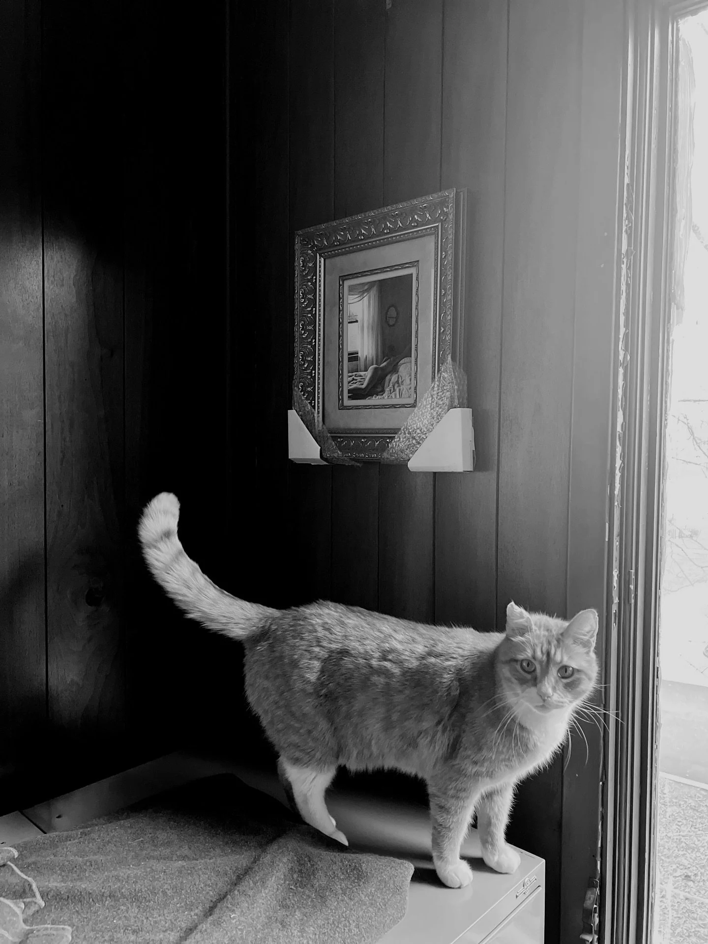 This is who you&rsquo;re feeding when you book a session at LAMINA Boudoir Studio.

This is whose creative soul gets lit like fire when you first inquire about doing your photoshoot.

What will it take for me to convince you?

You best be willing to 