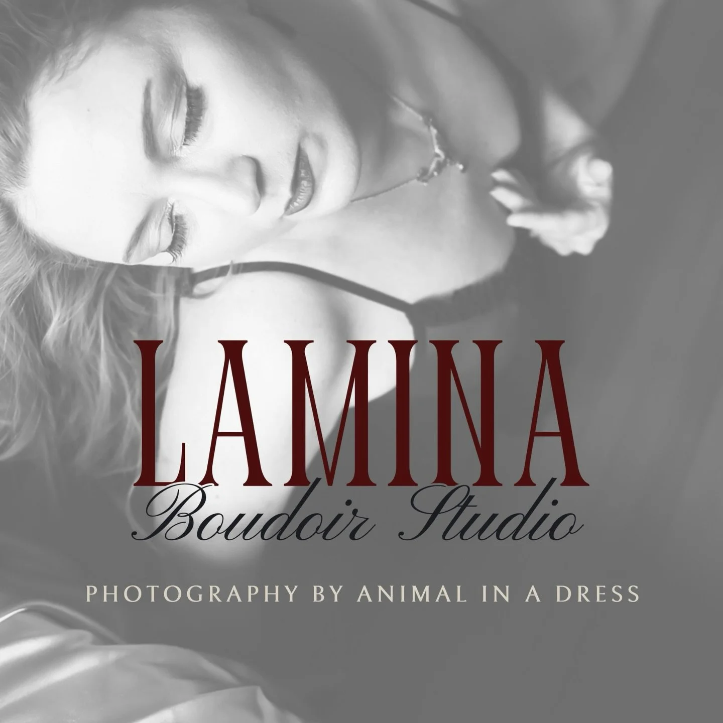 You only have to give me your name, age, and phone number/email (as a way to contact you) to start the discussion.

What do you want your session to look and feel like?

Now Booking Luxury LAMINA Boudoir Sessions by @animalinadress

APPLY NOW >&gt