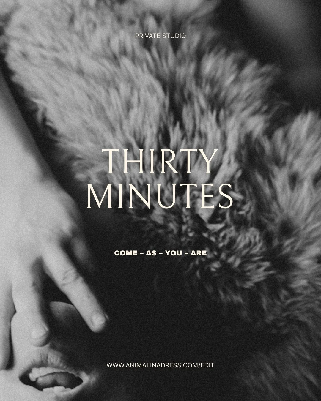 Luxury Photoshoots In Indianapolis With Curated Styled Set