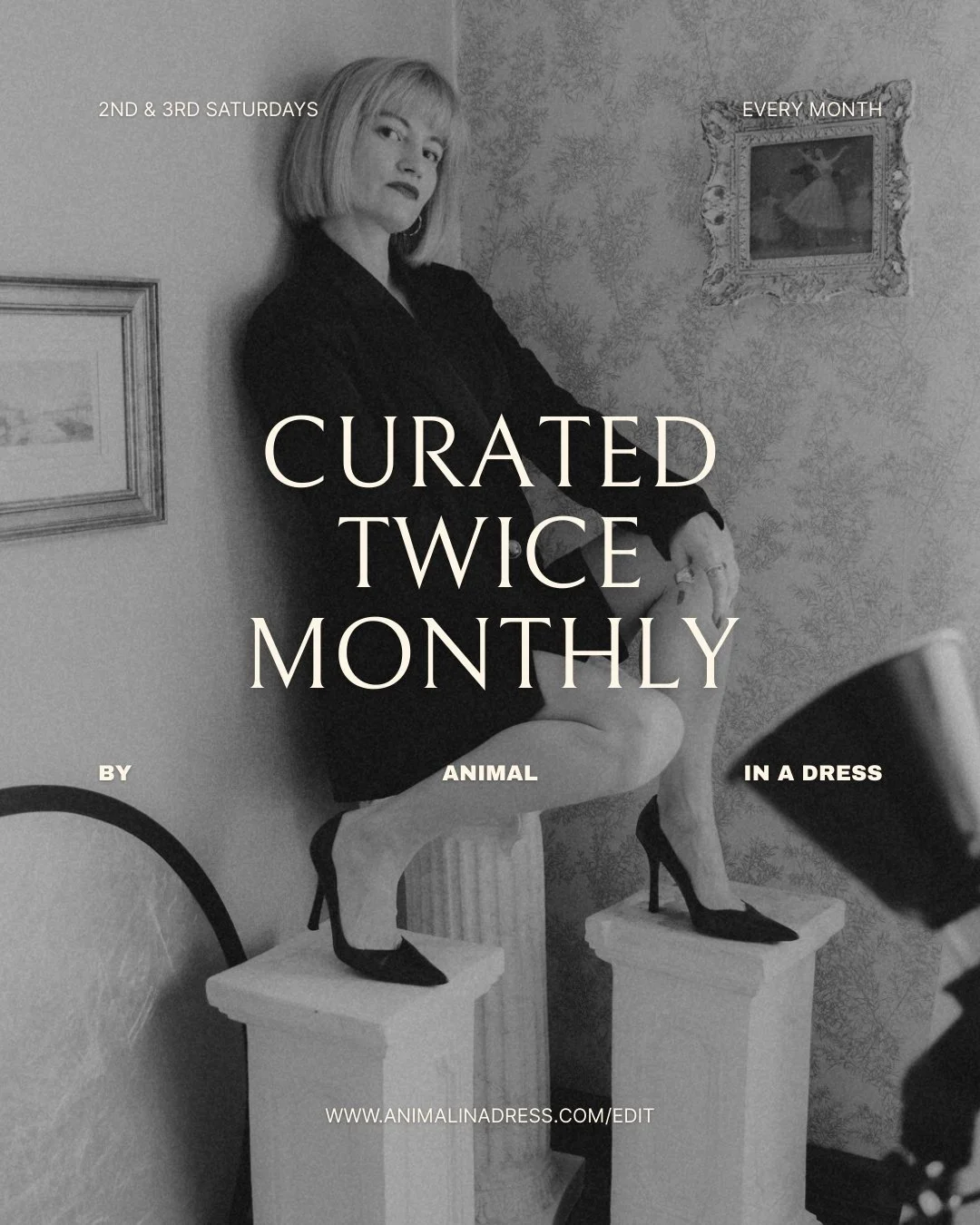 Indianapolis IN, surrounding cities, private portrait studio - Open Saturdays!