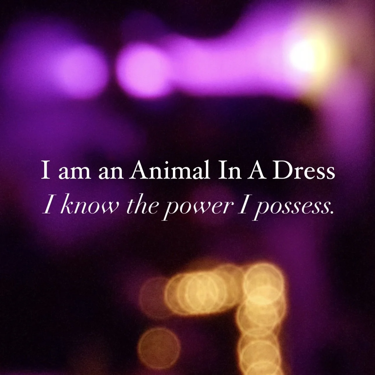 Animal In A Dress knows the power they posses.