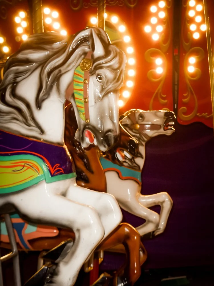 Indianapolis' Best Luxury Photographer Photographs The Attractions At The Indiana State Fair