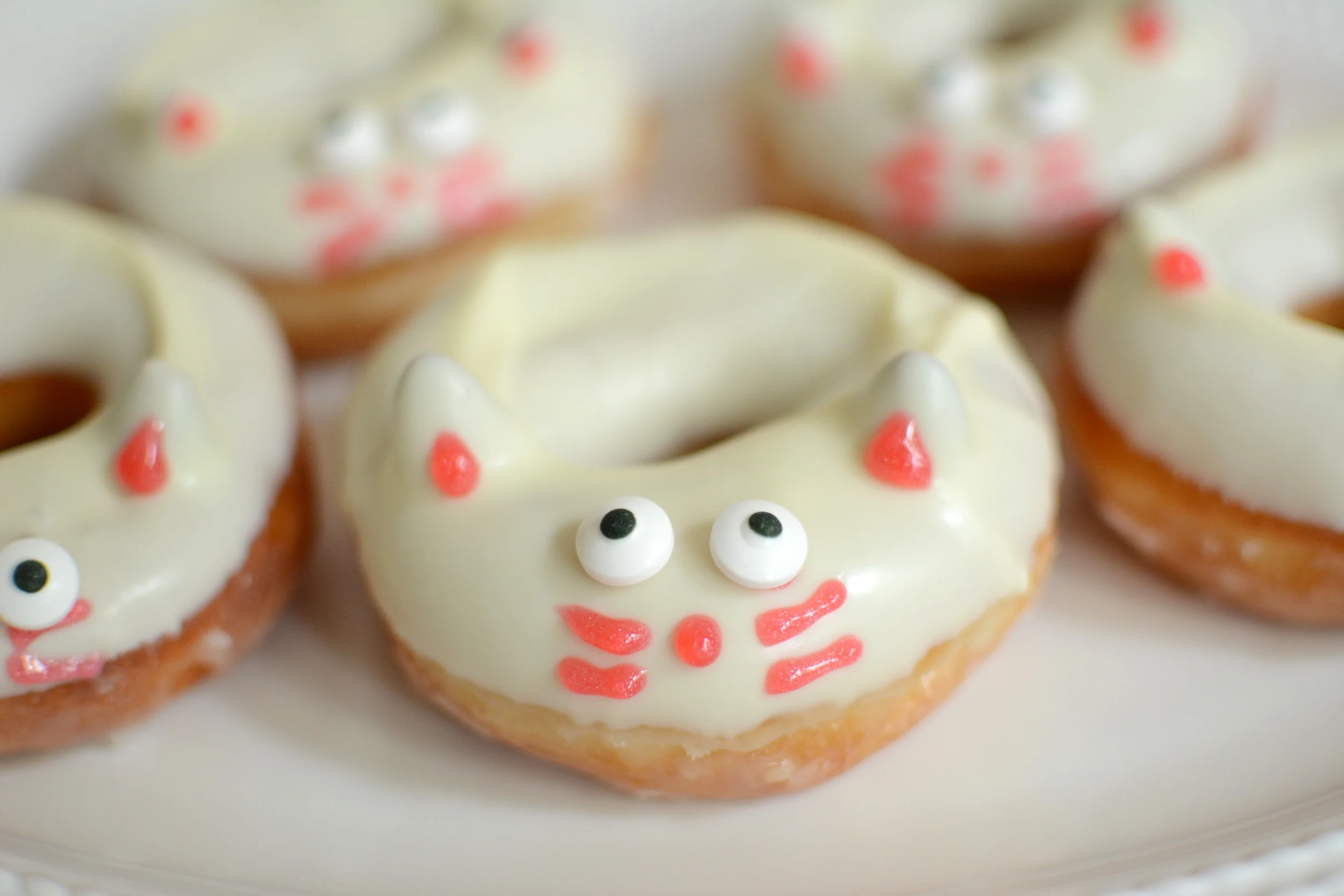 Cat Donuts 