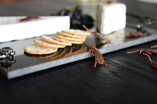 cheese.jpg