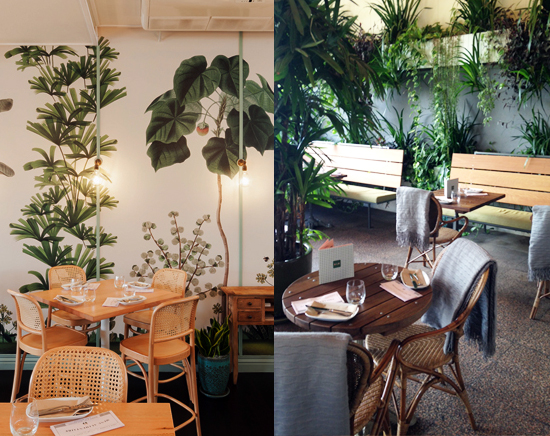 With French-colonial inspired interiors, The Butler on Victoria Street in Potts Point has seamlessly integrated the exterior green wall with the interior wall coverings, creating a lush, green restaurant and bar space that frames the panoramic view of Woolloomooloo and the CBD. 