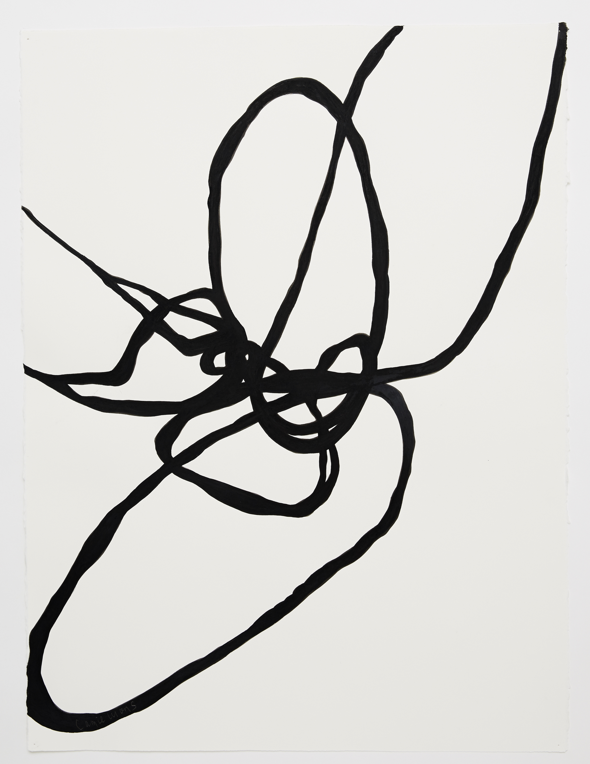 Pollenate Charcoal and ink on paper 56 x 76cm
