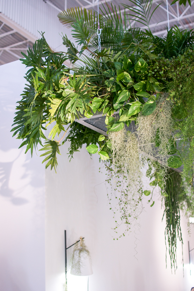 ‘Greenery’ is the PANTONE #ColoroftheYear2017 and Cinna France got this one right with their stunning hanging garden. 