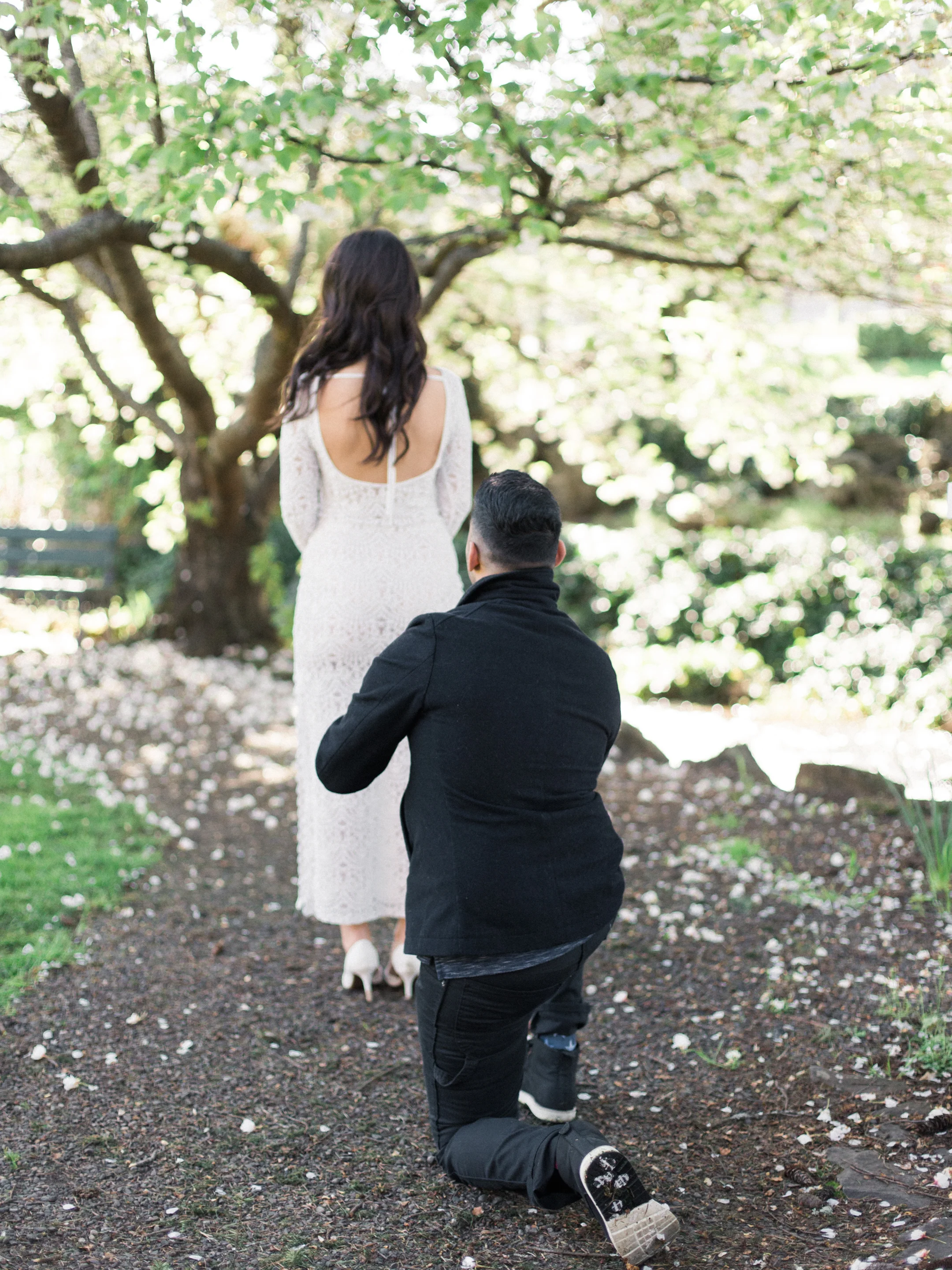 jacquline-and-pierre-proposal-5.jpg