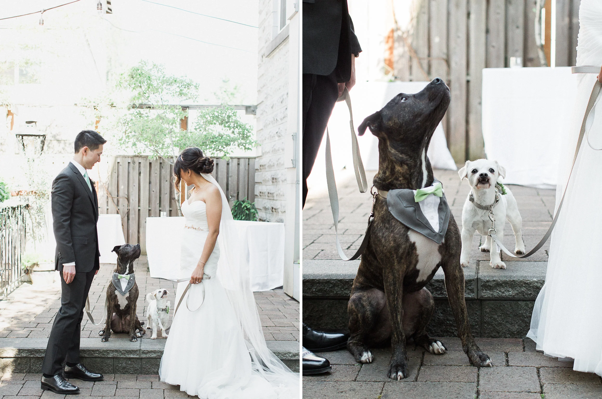 opal-28-urban-portland-greenery-wedding-12.jpg