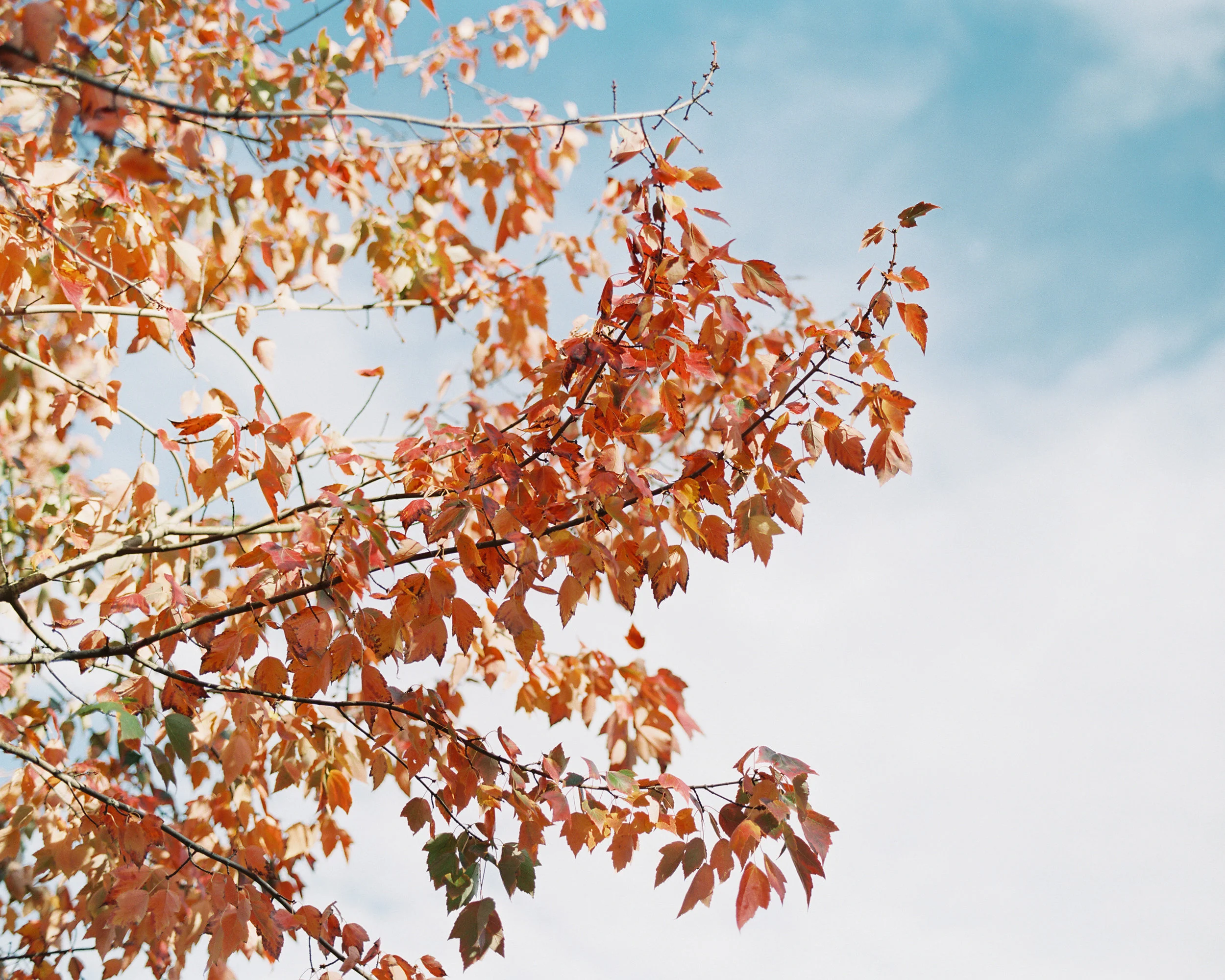 Portland-Oregon-Fall-Wedding-Photographer-4.jpg