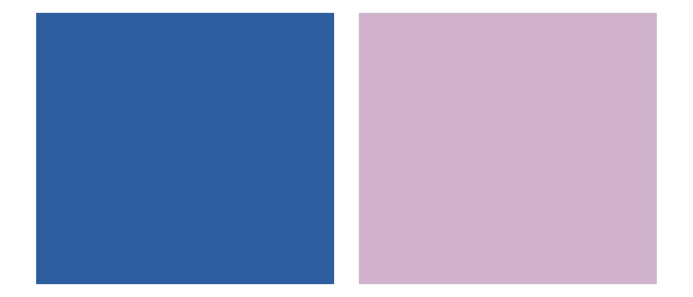 Princess Blue.jpg