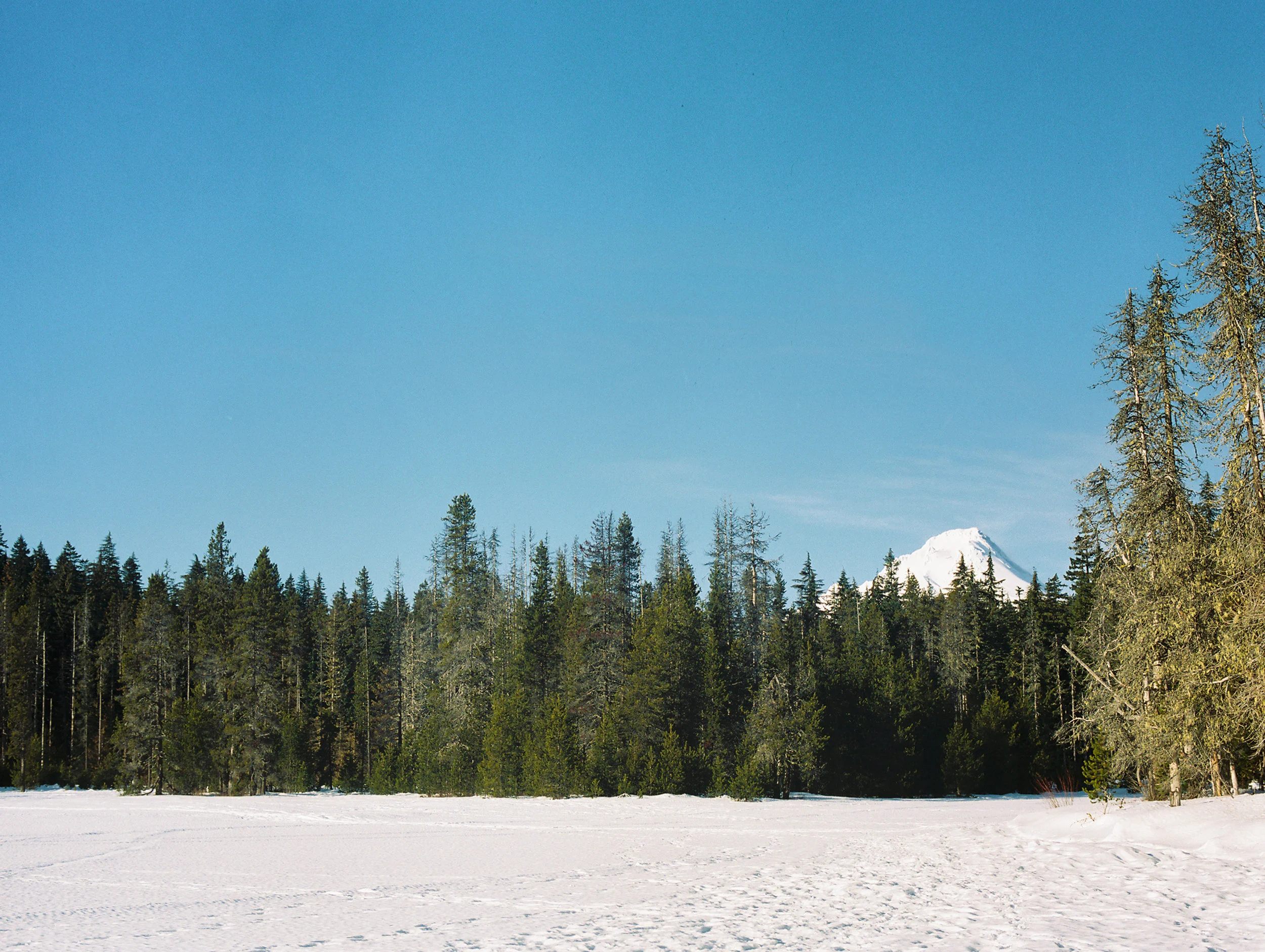 Frog-Lake-Winter-Mount-Hood-5.jpg