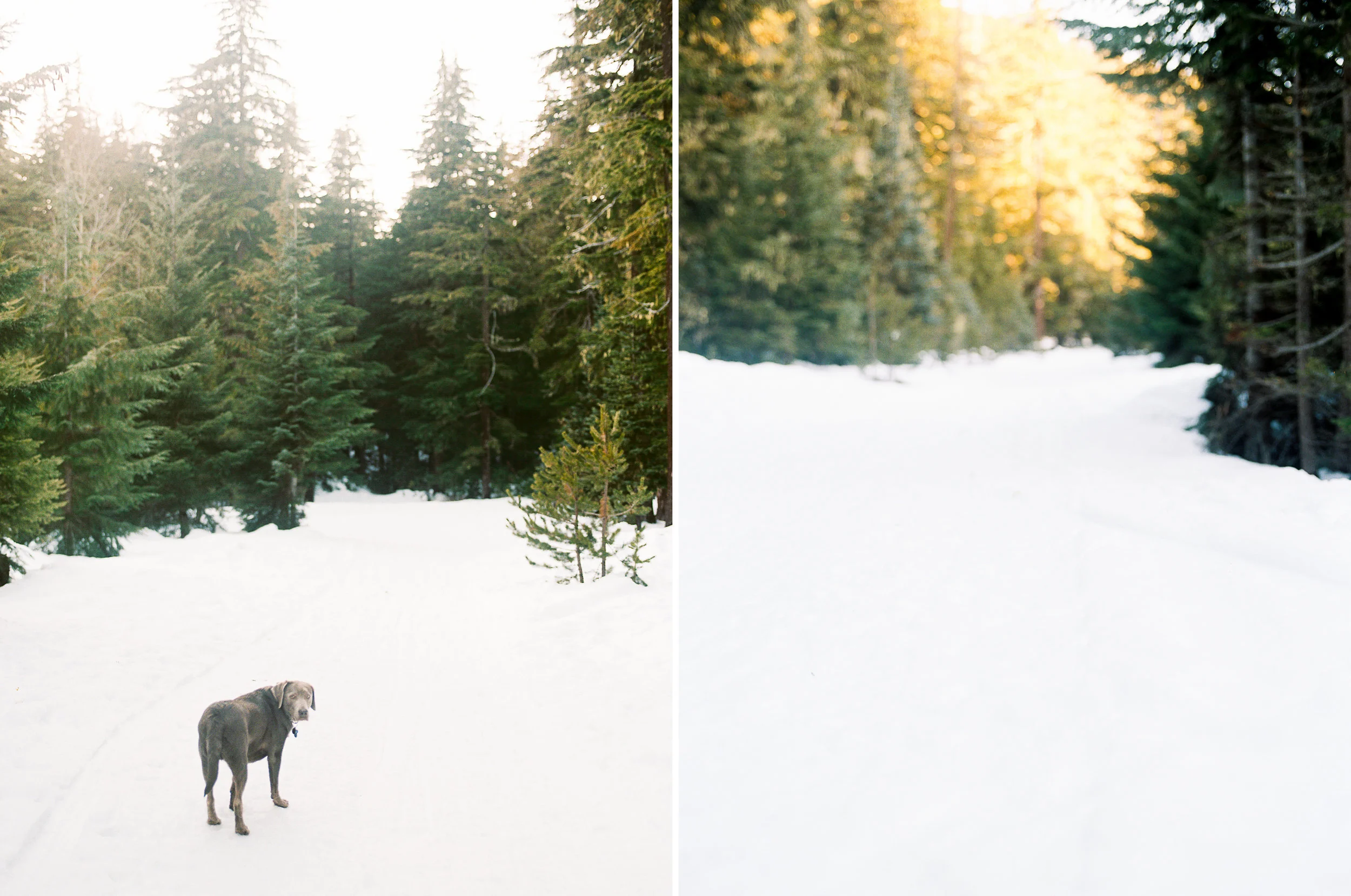 Frog-Lake-Winter-Mount-Hood-1.jpg