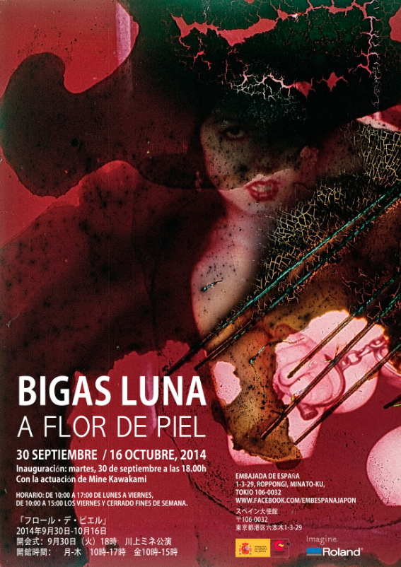 Poster Design - Bigas Luna "A Flor de Piel"