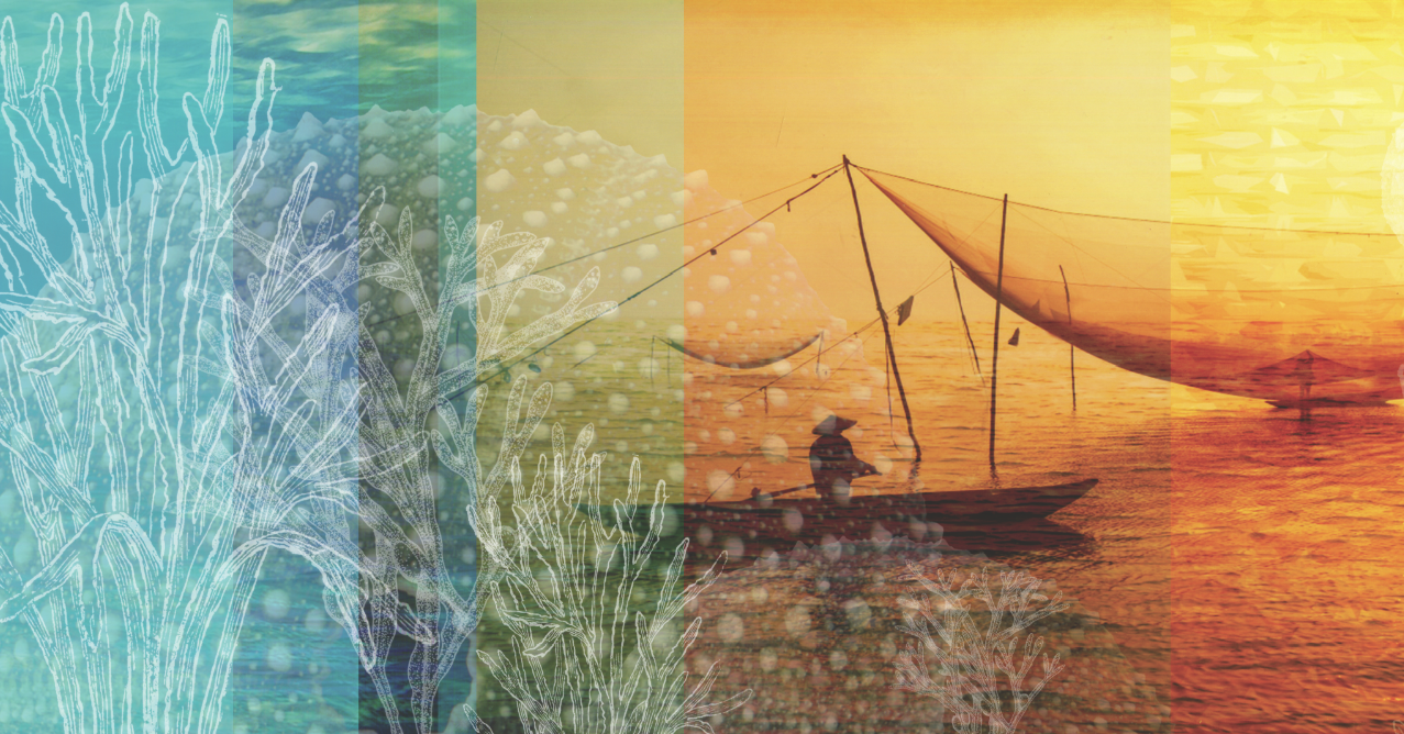 Custom Designed Detailed High Quality Canvas Prints